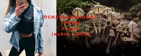соль курить ск Покачи