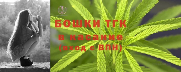 прущие грибы Покров